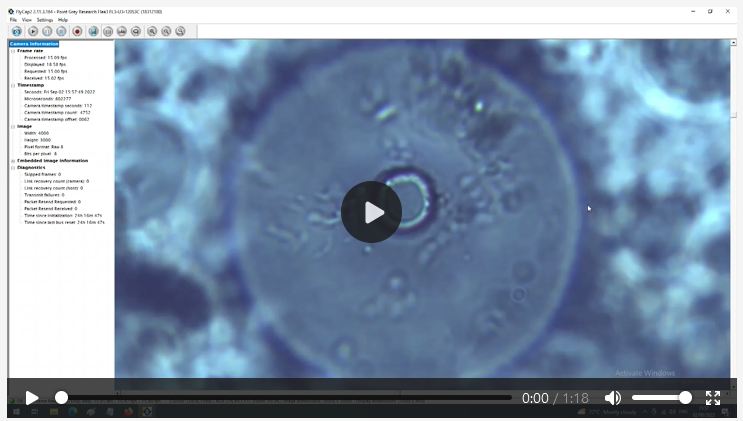 More bacteria videos